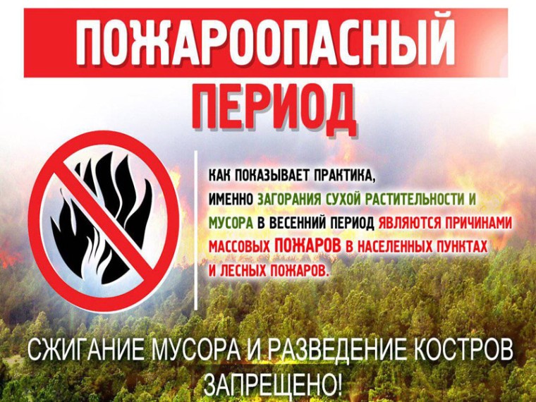 Памятка по правилам пожарной безопасности в весенне-летний пожароопасный период.